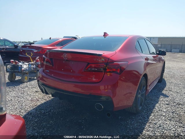 Acura Tlx Technology/a-spec 2020 19UUB3F67LA802229 Image 16