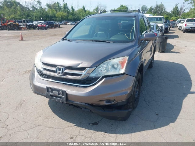 Aukcja sprzedaży 2010 Honda Cr-v Exl, vin: 5J6RE4H72AL811844, numer aukcji: 12664037