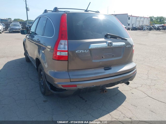 Aukcja sprzedaży 2010 Honda Cr-v Exl, vin: 5J6RE4H72AL811844, numer aukcji: 12664037