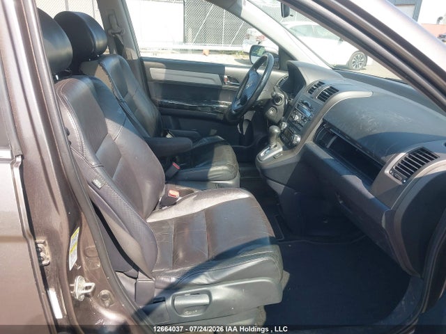 Aukcja sprzedaży 2010 Honda Cr-v Exl, vin: 5J6RE4H72AL811844, numer aukcji: 12664037