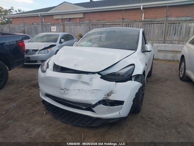 Auction sale of the 2024 Tesla Model Y Long Range/rwd, vin: LRWYGDFD0RC673623, lot number: 12664039