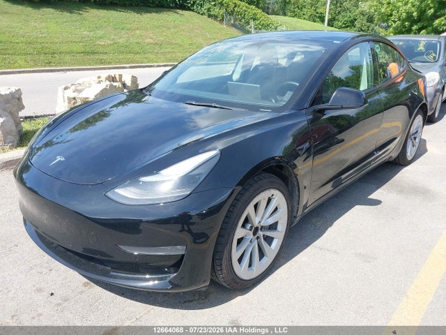 Auction sale of the 2022 Tesla Model 3, vin: 5YJ3E1EB2NF277692, lot number: 12664068