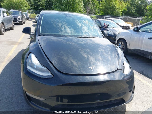 Auction sale of the 2022 Tesla Model Y, vin: 7SAYGDEE2NF465630, lot number: 12664075