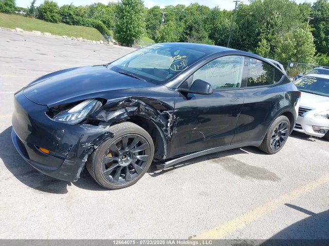 Auction sale of the 2022 Tesla Model Y, vin: 7SAYGDEE2NF465630, lot number: 12664075