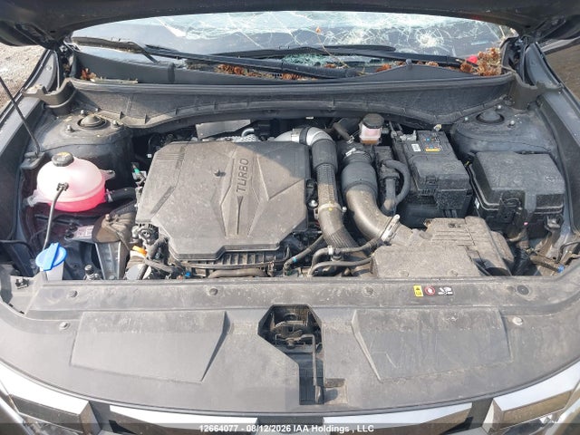 12664077 :رقم المزاد ، 5NTJEDDF6RH106501 vin ، 2024 Hyundai Santa Cruz Limited مزاد بيع