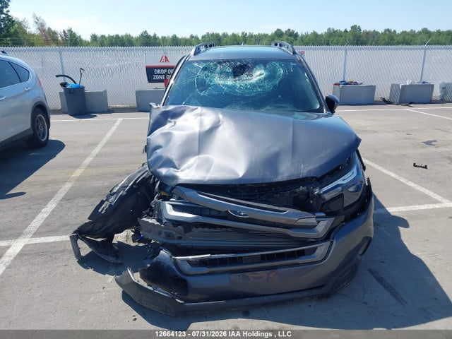 Aukcja sprzedaży 2025 Subaru Forester, vin: JF2SLDDC8SH586089, numer aukcji: 12664123
