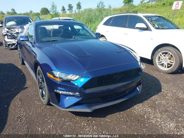 12664172 :رقم المزاد ، 1FA6P8TH3K5190183 vin ، 2019 Ford Mustang Ecoboost Premium مزاد بيع