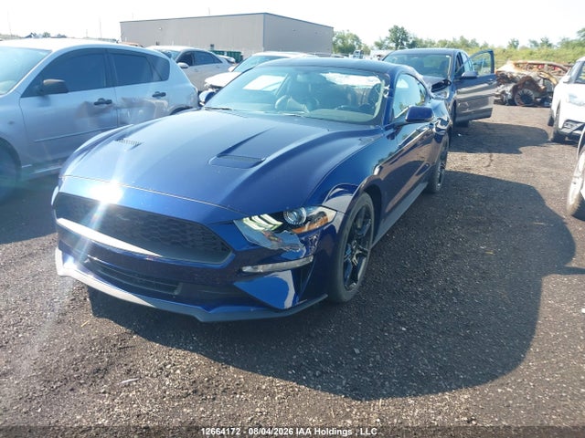 12664172 :رقم المزاد ، 1FA6P8TH3K5190183 vin ، 2019 Ford Mustang Ecoboost Premium مزاد بيع