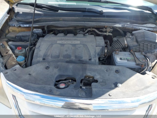 Продажа на аукционе авто 2010 Honda Odyssey Ex-l, vin: 5FNRL3H7XAB503183, номер лота: 12664227