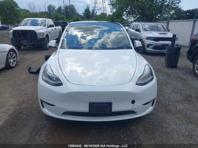 Продажа на аукционе авто 2023 Tesla Model Y Long Range, vin: 7SAYGDEE6PF644465, номер лота: 12664242