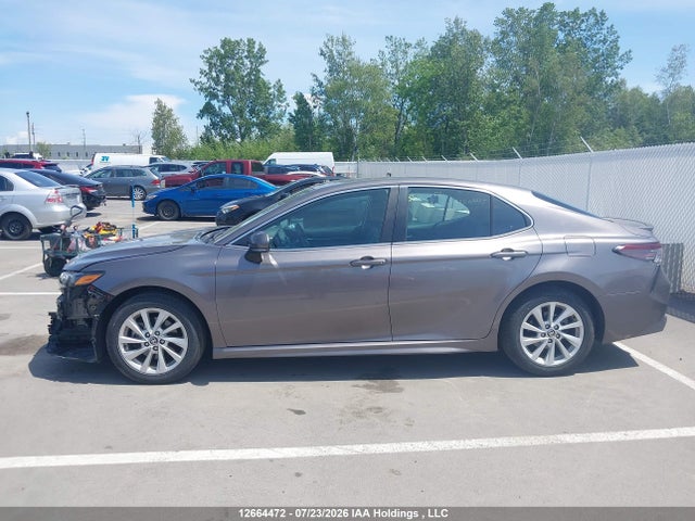2024 Toyota Camry Se Night Shade/se მანქანა იყიდება აუქციონზე, vin: 4T1G11AK2RU245708, აუქციონის ნომერი: 12664472