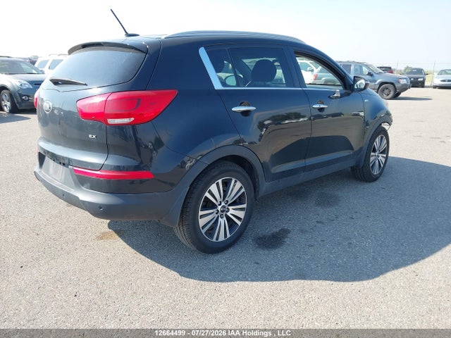 12664499 :رقم المزاد ، KNDPCCAC3G7852960 vin ، 2016 Kia Sportage Ex/ex Luxury مزاد بيع