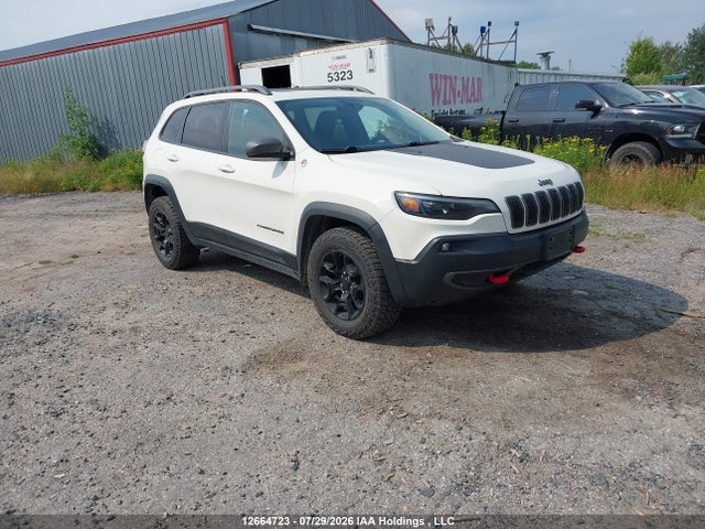 2019 1C4PJMBXXKD107436 главное изображение