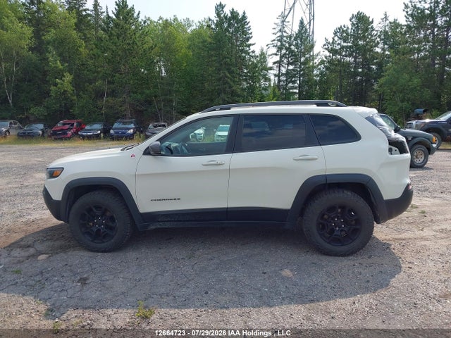 Jeep Cherokee Trailhawk 2019 1C4PJMBXXKD107436 Image 14