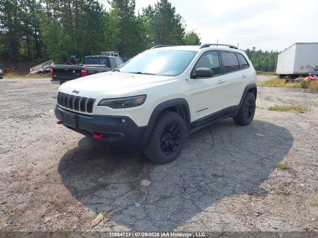 Jeep Cherokee Trailhawk 2019 1C4PJMBXXKD107436 Image 2