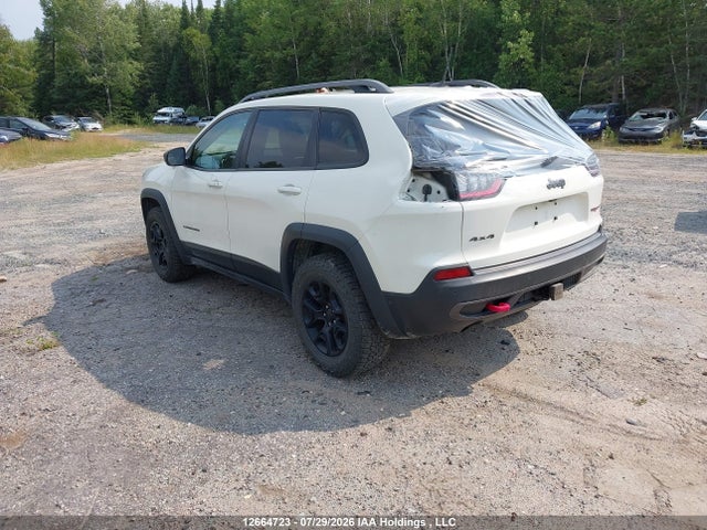 Jeep Cherokee Trailhawk 2019 1C4PJMBXXKD107436 Image 3