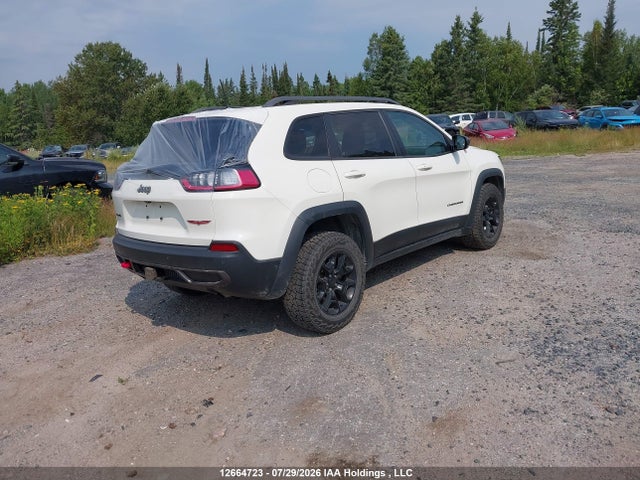 Jeep Cherokee Trailhawk 2019 1C4PJMBXXKD107436 Image 4