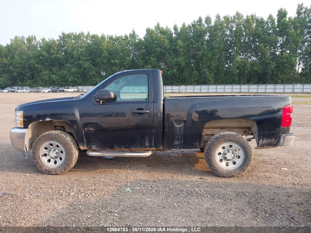 12664783 :رقم المزاد ، 1GCNCPEX2CZ348393 vin ، 2012 Chevrolet Silverado C1500 مزاد بيع