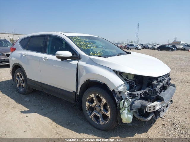 Auction sale of the 2019 Honda Cr-v Ex-l, vin: 2HKRW2H86KH138823, lot number: 12664813