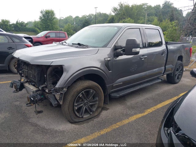 Продажа на аукционе авто 2021 Ford F-150 Xlt, vin: 1FTFW1ED0MFB20460, номер лота: 12664876