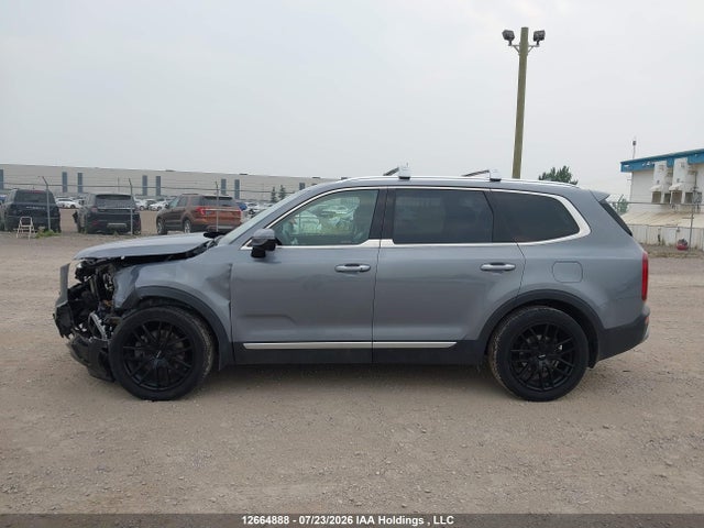2020 Kia Telluride Sx მანქანა იყიდება აუქციონზე, vin: 5XYP5DHC7LG013168, აუქციონის ნომერი: 12664888