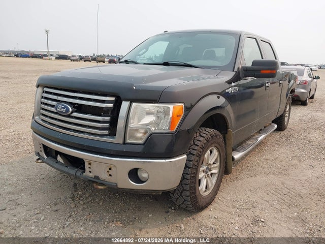 Aukcja sprzedaży 2012 Ford F150 Supercrew, vin: 1FTFW1EF6CFA16328, numer aukcji: 12664892