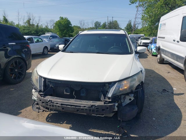 12664980 :رقم المزاد ، 5J6TF1H51BL800030 vin ، 2011 Honda Accord Crosstour Exl مزاد بيع