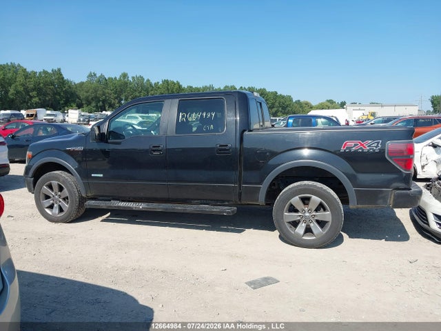 Ford F-150 2014 1FTFW1ET3EFA72719 Image 14