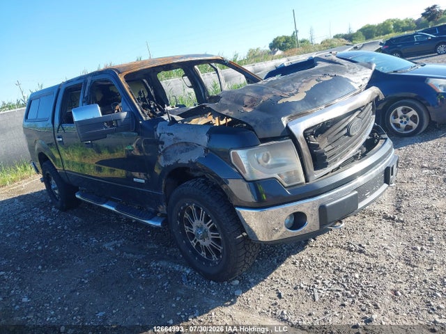 Продажа на аукционе авто 2011 Ford F-150 Xlt, vin: 1FTFW1ET5BFB34648, номер лота: 12664993