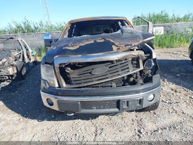 Продажа на аукционе авто 2011 Ford F-150 Xlt, vin: 1FTFW1ET5BFB34648, номер лота: 12664993