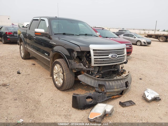 12665047 :رقم المزاد ، 1FTFW1ET0CFB48331 vin ، 2012 Ford F150 Supercrew مزاد بيع