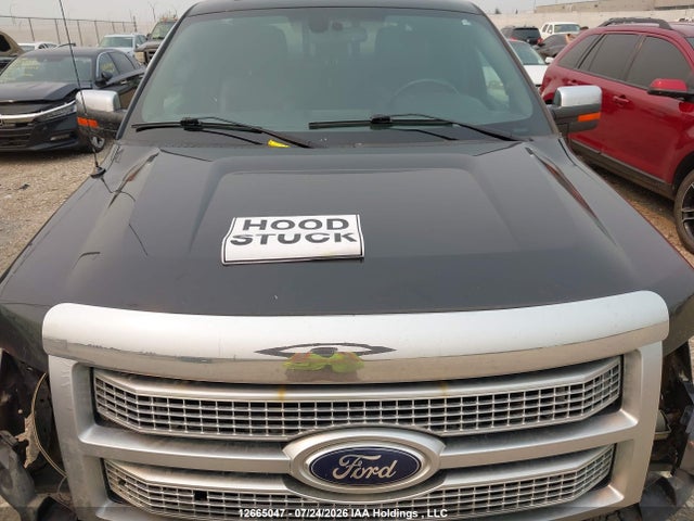Aukcja sprzedaży 2012 Ford F150 Supercrew, vin: 1FTFW1ET0CFB48331, numer aukcji: 12665047