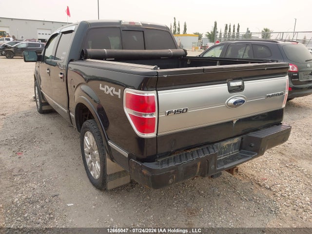 Aukcja sprzedaży 2012 Ford F150 Supercrew, vin: 1FTFW1ET0CFB48331, numer aukcji: 12665047