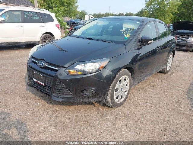 Продажа на аукционе авто 2013 Ford Focus Se, vin: 1FADP3F22DL165713, номер лота: 12665066
