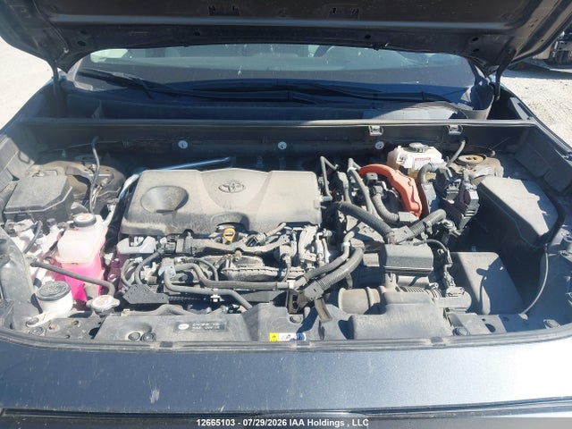 Toyota Rav4 Limited 2019 2T3DWRFV3KW006400 Image 10