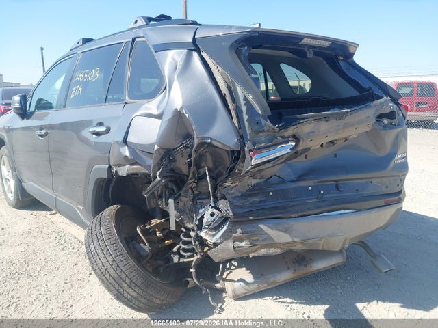 Toyota Rav4 Limited 2019 2T3DWRFV3KW006400 Image 6