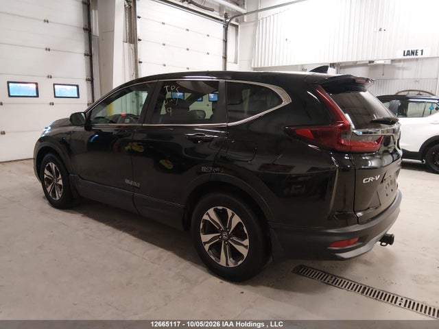 Honda CR-V 2020 2HKRW1H29LH000832 Image 3
