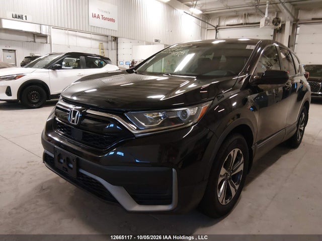 Honda CR-V 2020 2HKRW1H29LH000832 Image 6