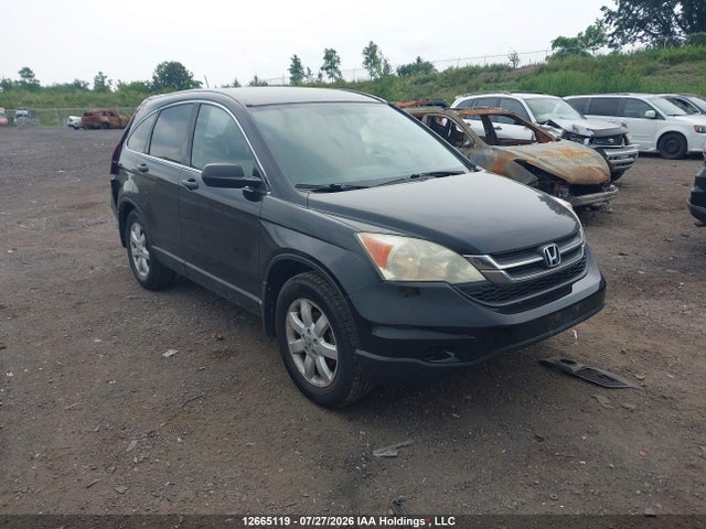 Продаж на аукціоні авто 2010 Honda Cr-v Lx, vin: 5J6RE4H32AL804986, номер лоту: 12665119