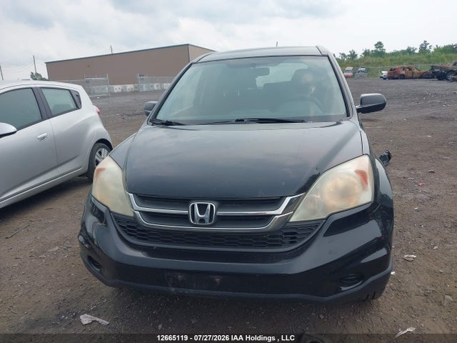 Продаж на аукціоні авто 2010 Honda Cr-v Lx, vin: 5J6RE4H32AL804986, номер лоту: 12665119