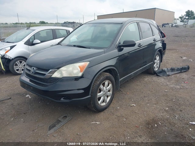 Продаж на аукціоні авто 2010 Honda Cr-v Lx, vin: 5J6RE4H32AL804986, номер лоту: 12665119