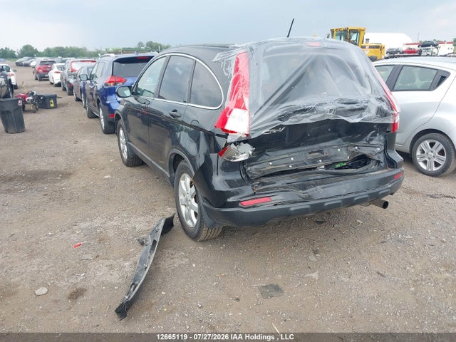 Продаж на аукціоні авто 2010 Honda Cr-v Lx, vin: 5J6RE4H32AL804986, номер лоту: 12665119