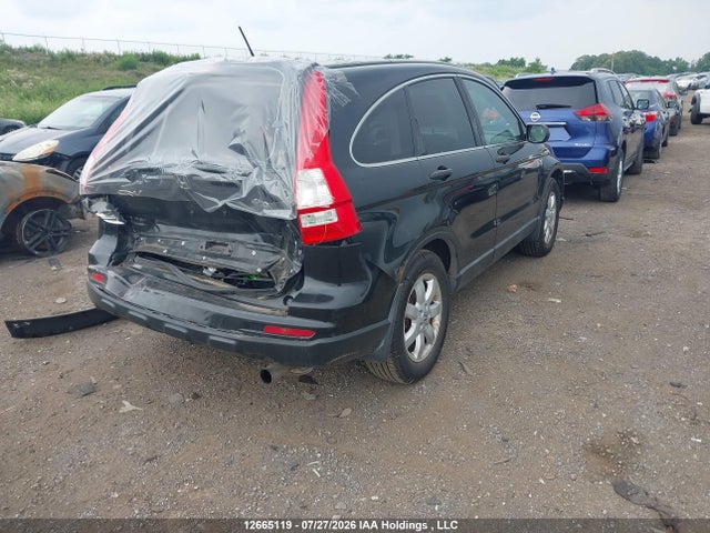 Продаж на аукціоні авто 2010 Honda Cr-v Lx, vin: 5J6RE4H32AL804986, номер лоту: 12665119