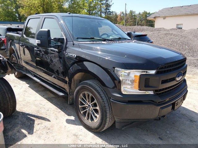 12665128 :رقم المزاد ، 1FTEW1P43KKC80054 vin ، 2019 Ford F150 Police Responder مزاد بيع