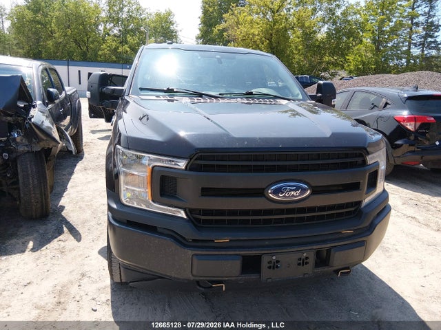 Продаж на аукціоні авто 2019 Ford F150 Police Responder, vin: 1FTEW1P43KKC80054, номер лоту: 12665128
