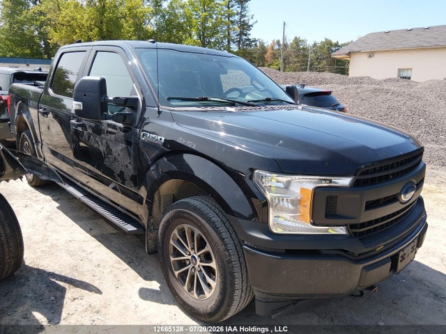 Продаж на аукціоні авто 2019 Ford F150 Police Responder, vin: 1FTEW1P43KKC80054, номер лоту: 12665128
