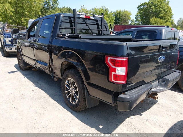 Продаж на аукціоні авто 2019 Ford F150 Police Responder, vin: 1FTEW1P43KKC80054, номер лоту: 12665128