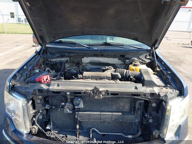 Продажа на аукционе авто 2013 Ford F-150 Xlt, vin: 1FTFW1EF2DFD58571, номер лота: 12665147