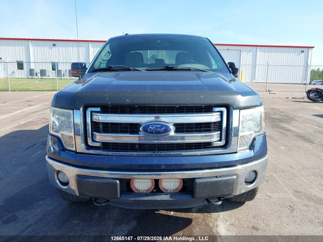 Продажа на аукционе авто 2013 Ford F-150 Xlt, vin: 1FTFW1EF2DFD58571, номер лота: 12665147