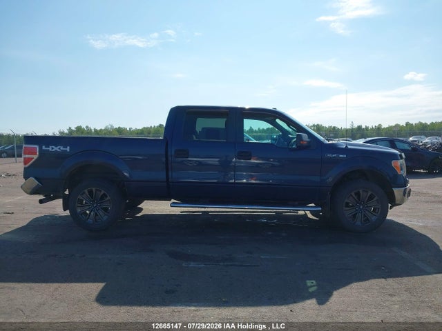 Продажа на аукционе авто 2013 Ford F-150 Xlt, vin: 1FTFW1EF2DFD58571, номер лота: 12665147